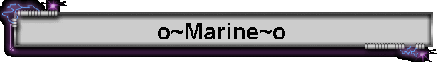 o~Marine~o